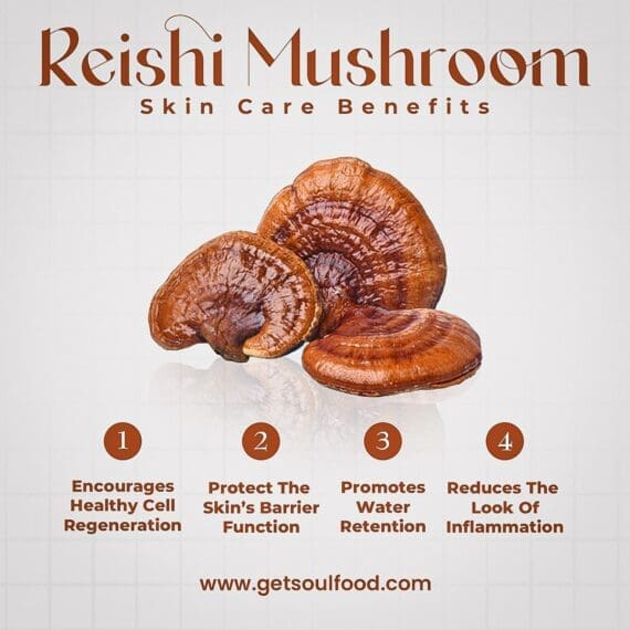 Reishi mushroom powder feature benefits