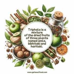 triphala info post