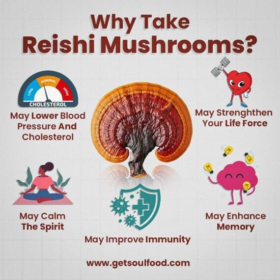 Why Take Reishi Mushrooms