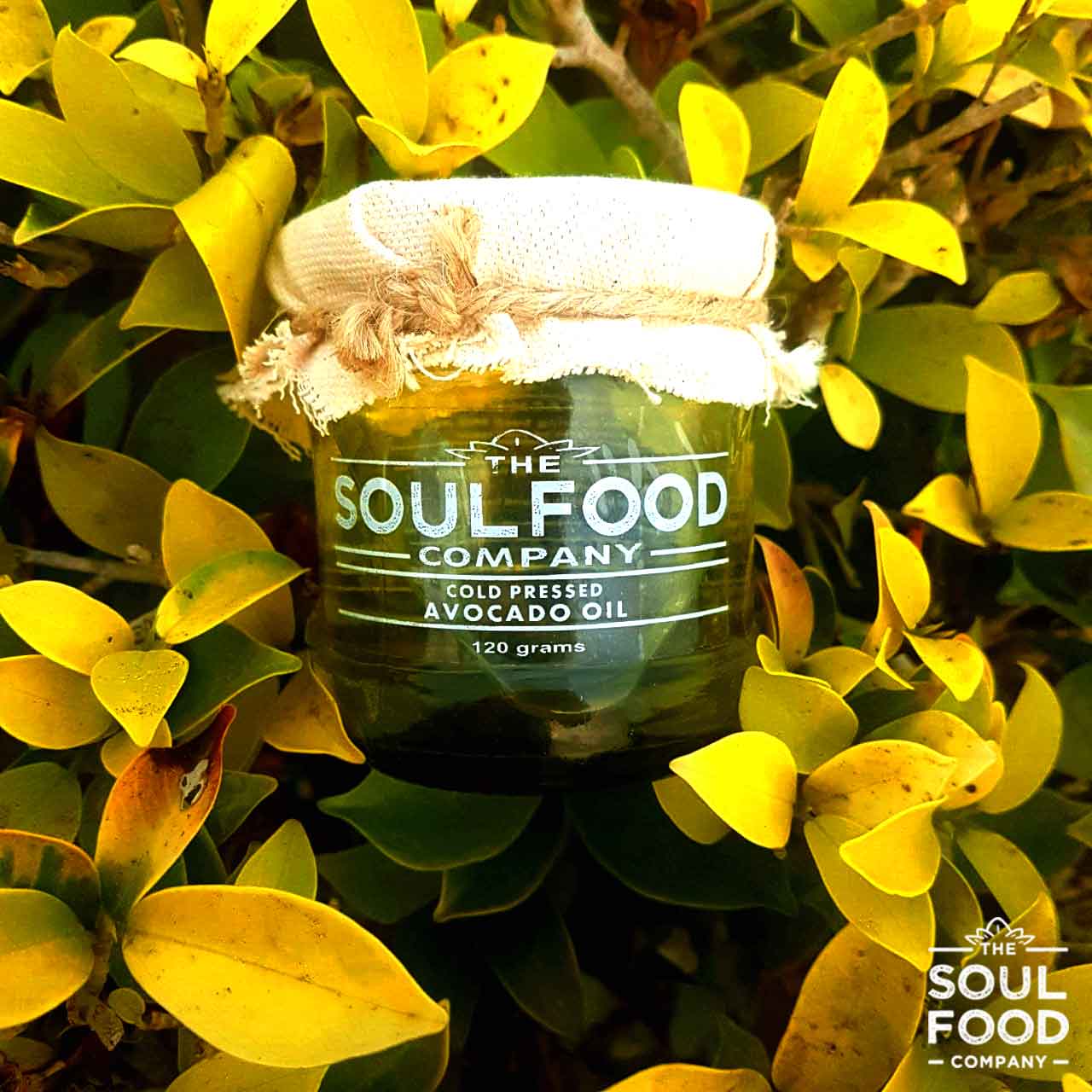Coldpressed Avocado Oil