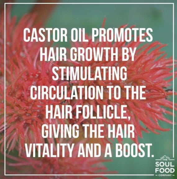 castor oil benefit - hair growth