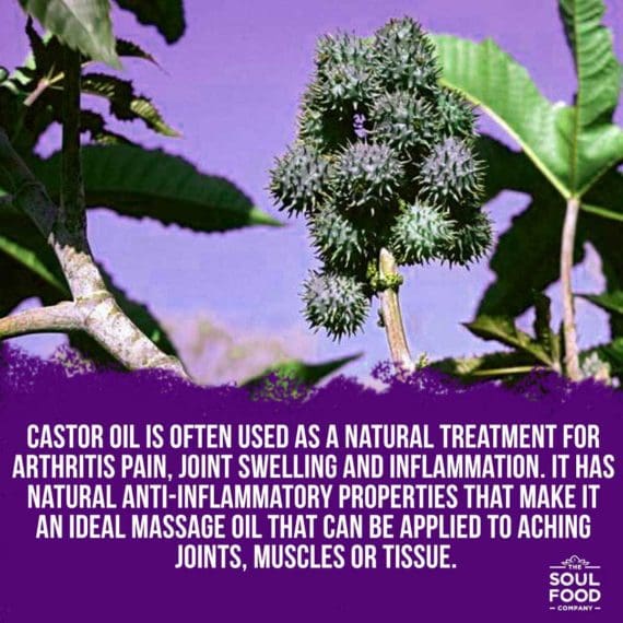 castor oil benefit - inflammation