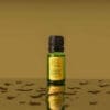 Cedarwood Essential Oil