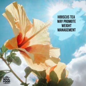 Hibiscus Tea Benefit