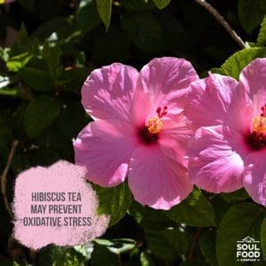 Hibiscus Tea Benefit Post