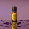 Lavender Essential Oil