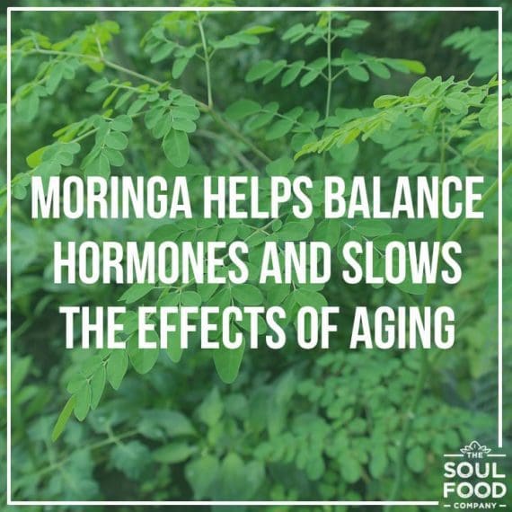 moringa tea benefit