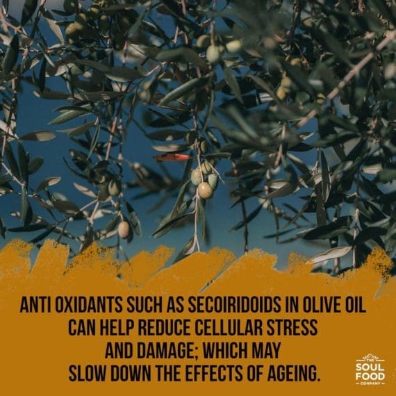 Olive Oil Benefit - slow down ageing